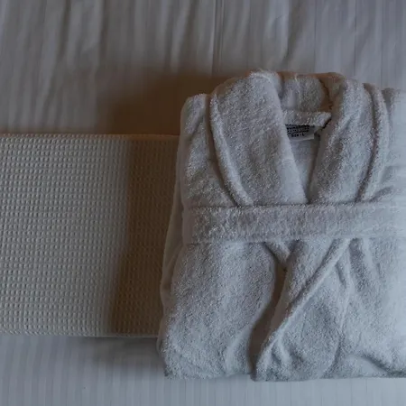 Terra - Stone Laganász