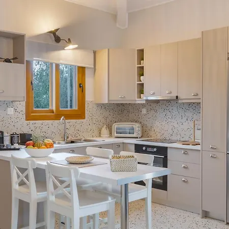 Vilă Terra - Stone Laganas